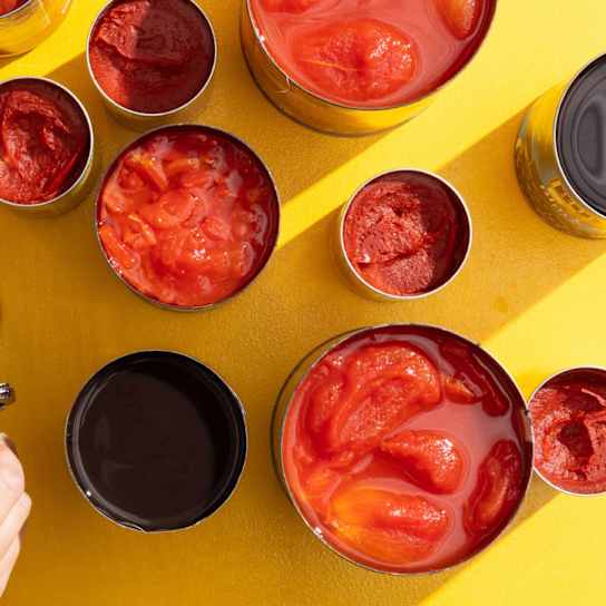 The Best Can Openers