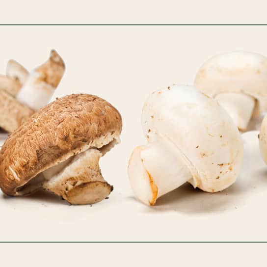 Ask Paul: What’s the Difference Between Cremini and Button Mushrooms?