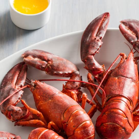 Technique #63: Freeze Lobster and Take Its Temp to Cook It Right