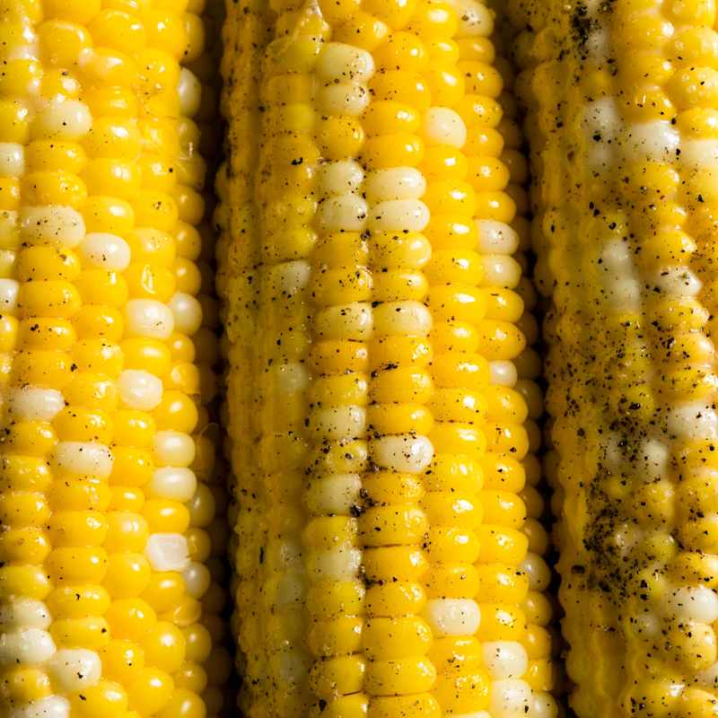 All About Corn