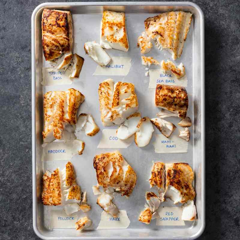 What is White Fish?