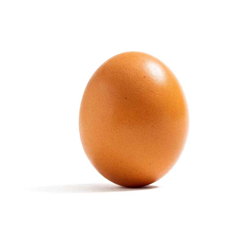 SIL_101_Egg.jpg