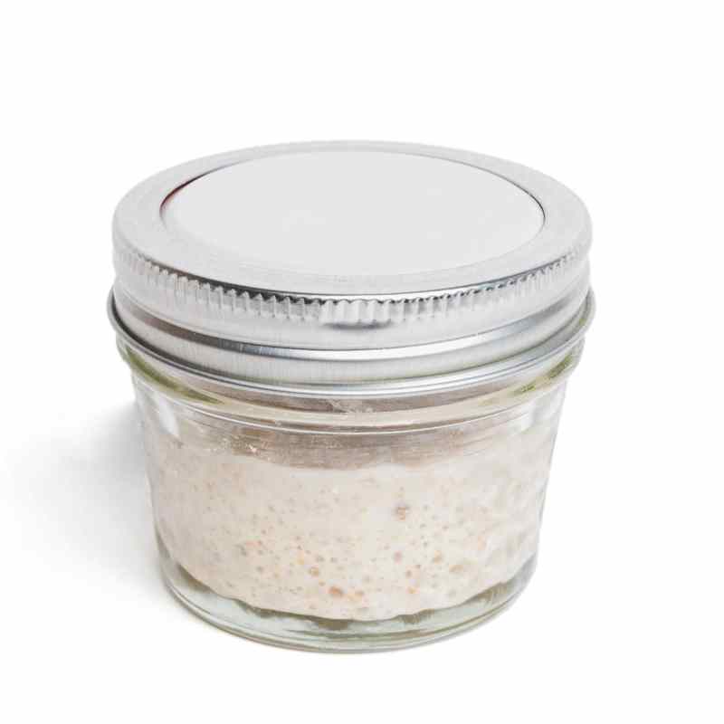Sourdough Starter