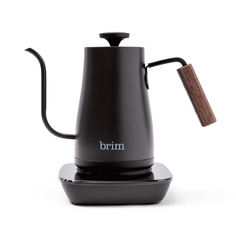 The Best Electric Gooseneck Kettles 