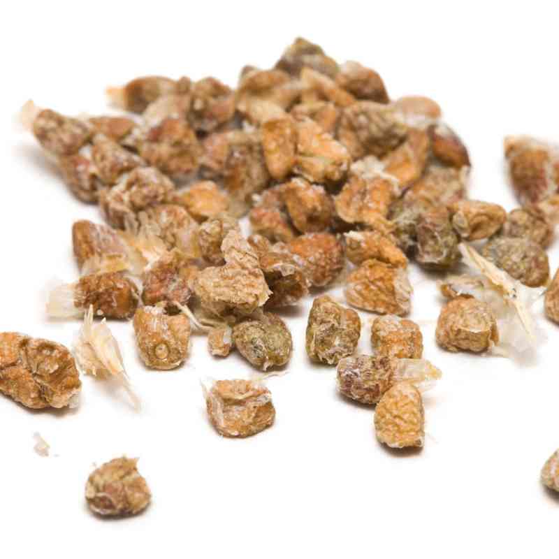 SIL_Cardamom_Seeds_01.jpg