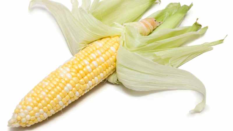 SIL_Corn_Cob_Peeling_02.jpg