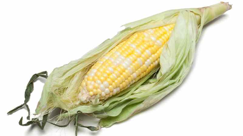 Types of Corn Products
