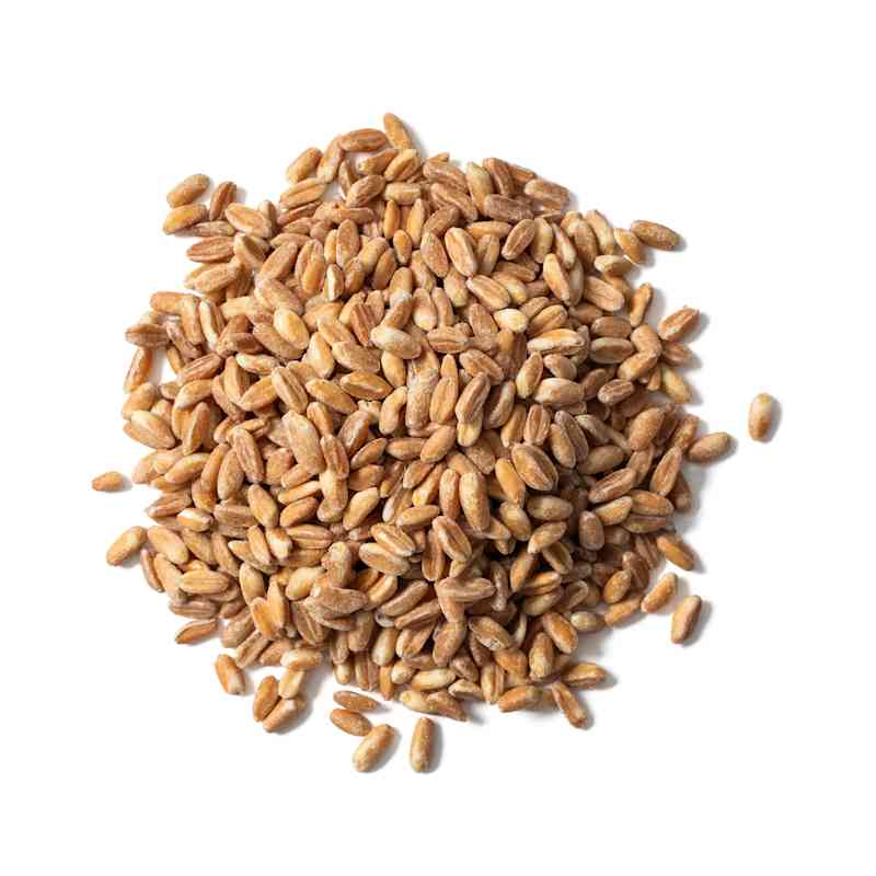 SIL_Farro_5268.jpg