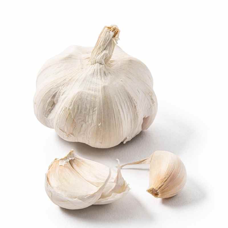SIL_Garlic_87028.jpg