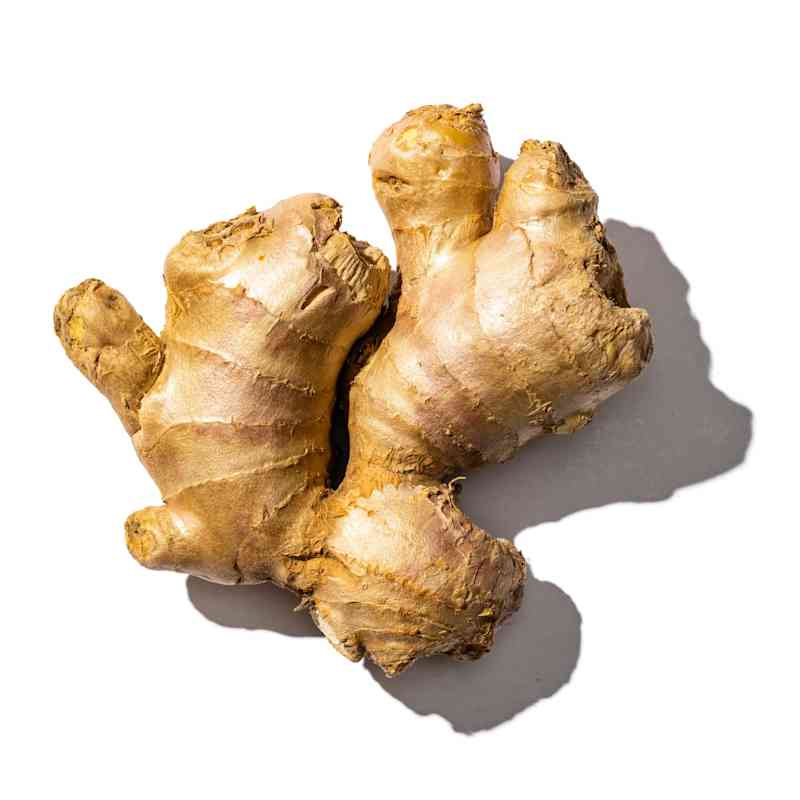 SIL_GingerHand_008 (1).jpg