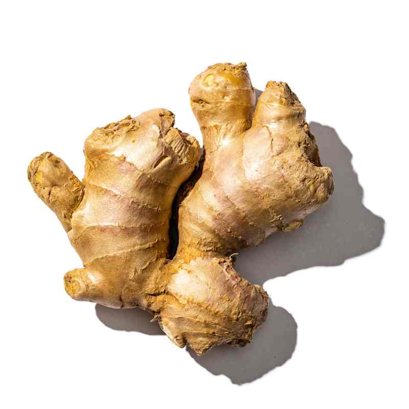 SIL_GingerHand_008.jpg