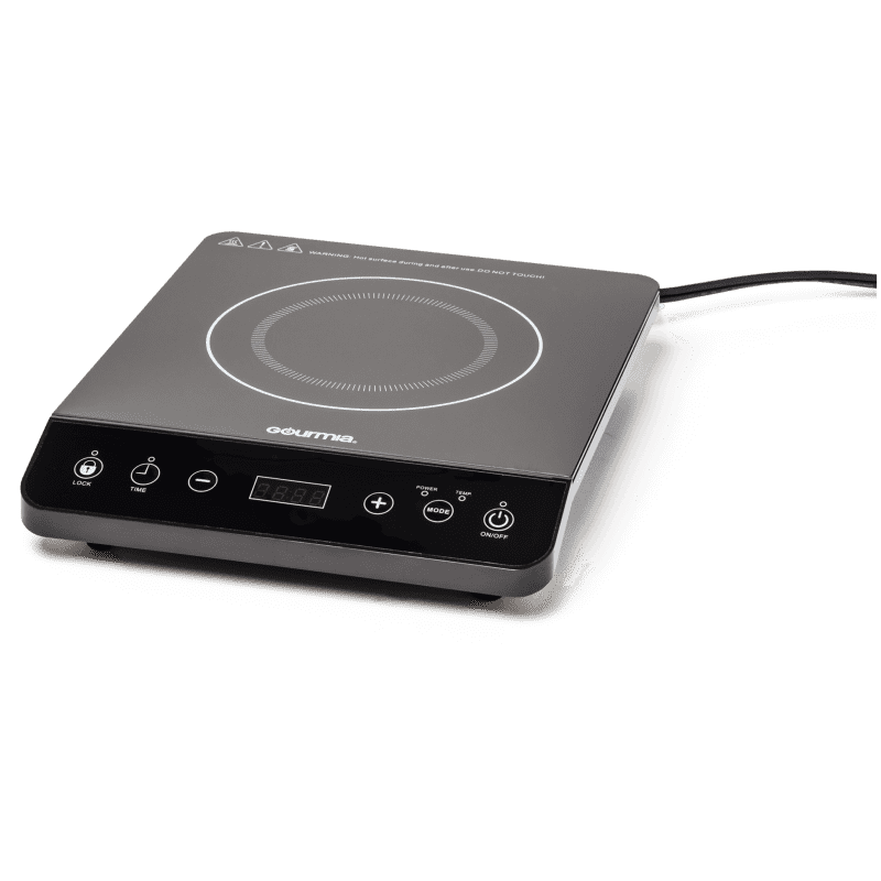 Best induction burner 2021 on sale