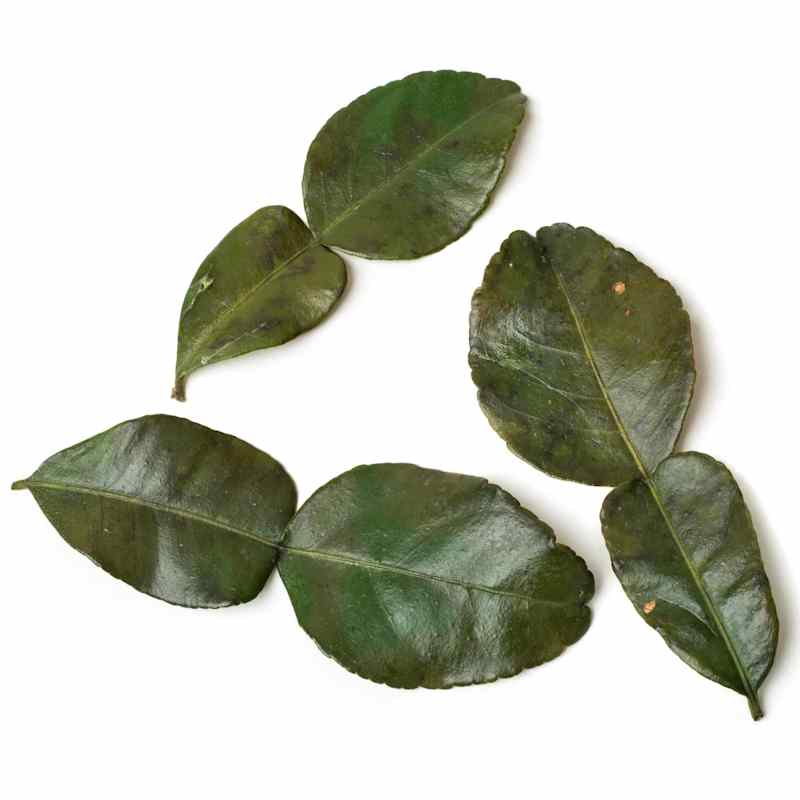 SIL_KafirLimeLeaves-03 (1).jpg