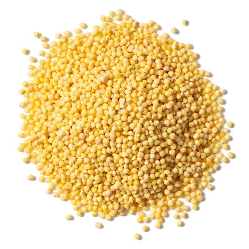 SIL_Millet_5238.jpg