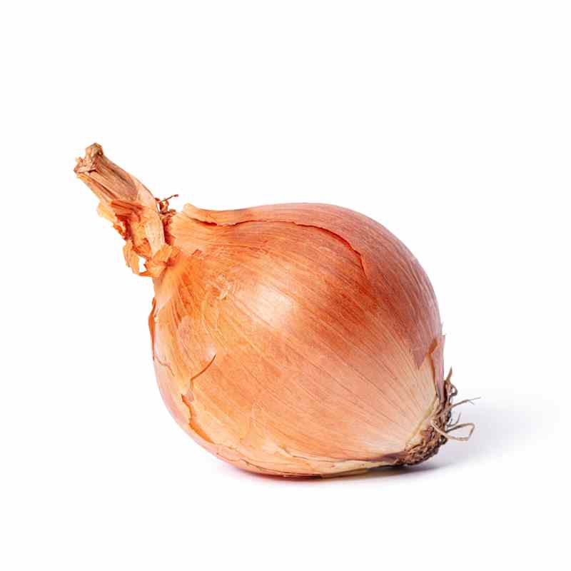 SIL_Onion_Yellow-7.jpg