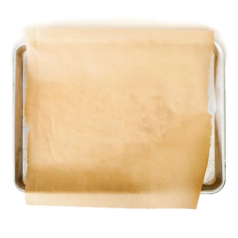 SIL_ParchmentPaper-11754.jpg