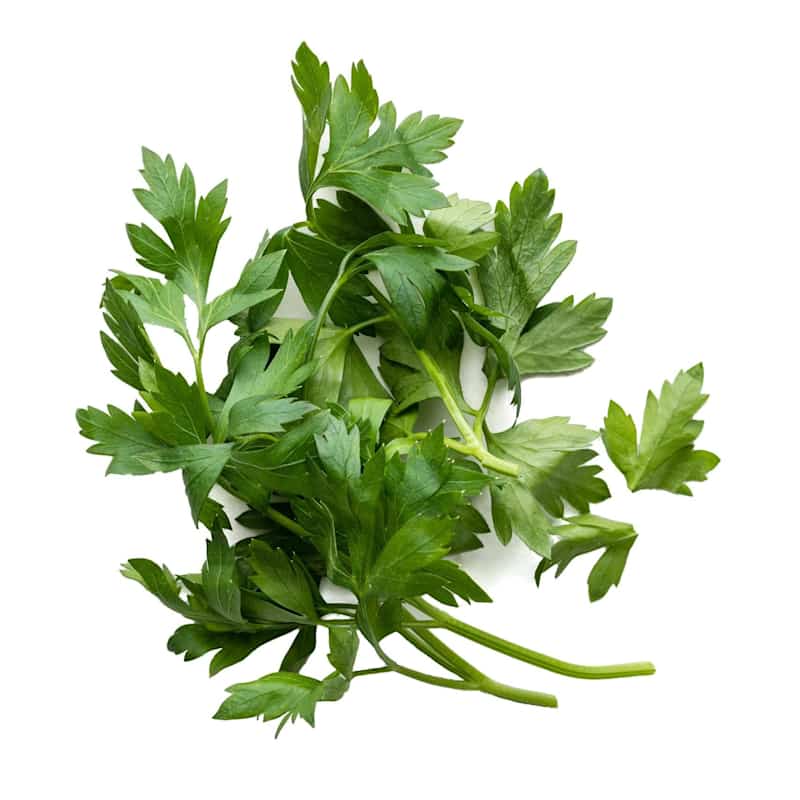 SIL_Parsley_7779.jpg