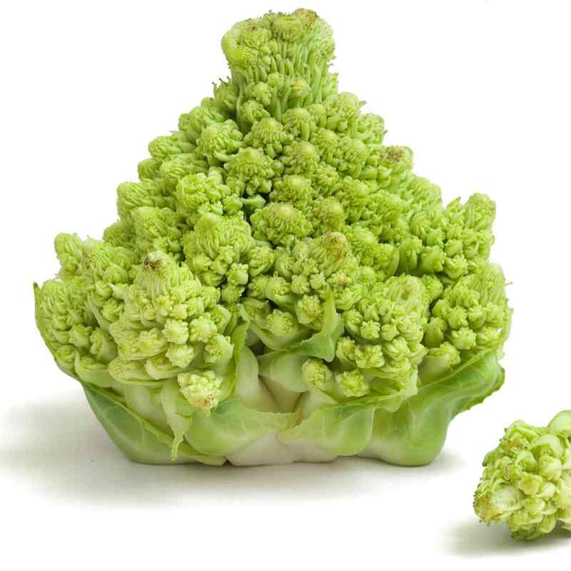 SIL_Romanesco.jpg
