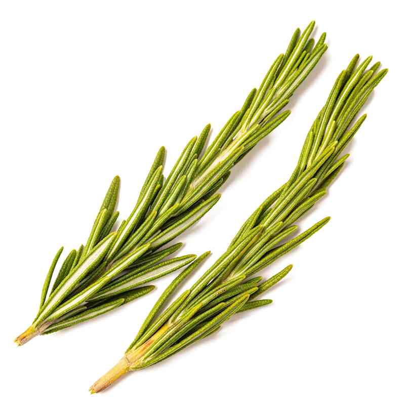 SIL_Rosemary-4.jpg