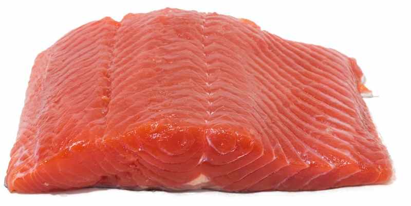 SIL_Salmon_Sockeye.jpg