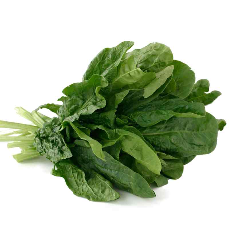 SIL_Spinach_01.jpg