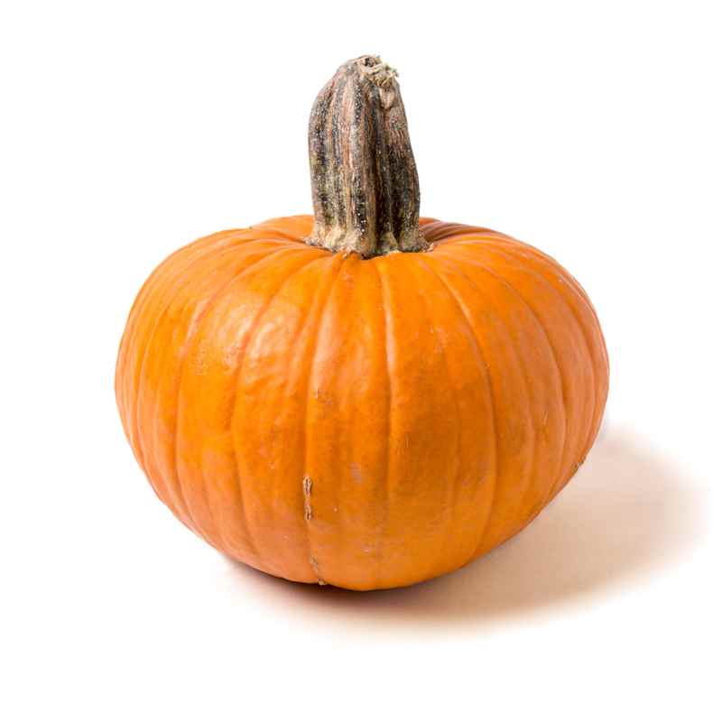 SIL_Squash_9931.jpg
