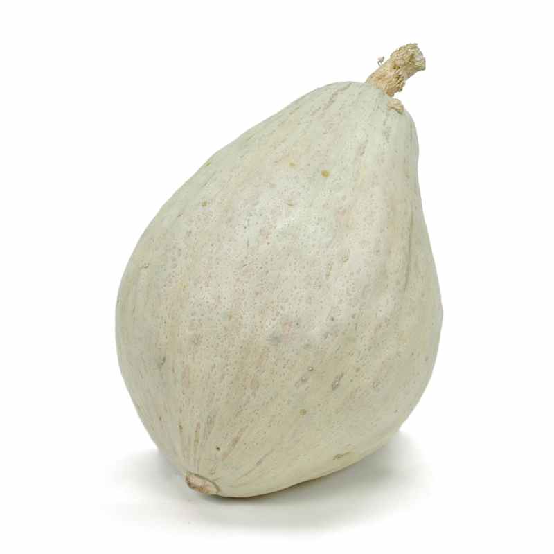 SIL_Squash_BlueHubbard.jpg