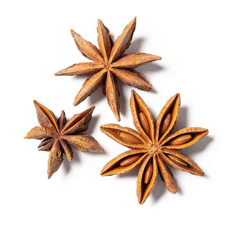 SIL_StarAnise_401.jpg