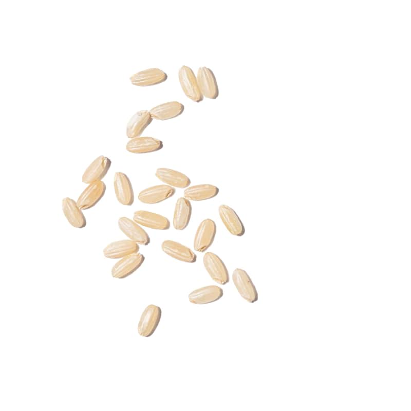 SIL_The_Basics_Cooking_Rice_Short_Grain_Brown_Rice_42737.jpg