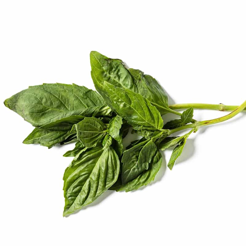 SIL_The_Basics_Using_Fresh_Herbs_Basil_36213.jpg