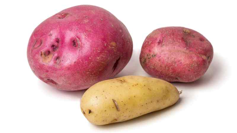 SIL_WaxyPotatoes_RedBlissRedCreamerFingerling_02.jpg