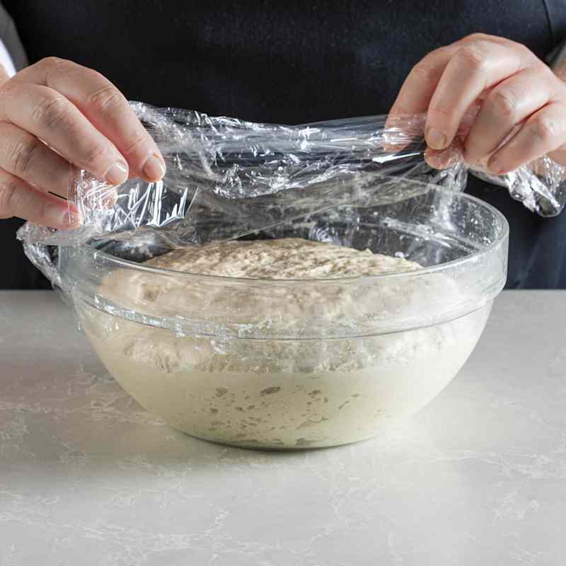 STP_AlmostNo-KneadSourdoughBread_ProofedDoubledInSize_9317 (1).jpg