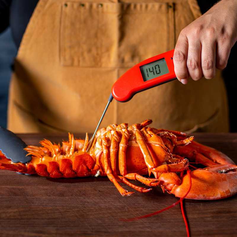 Essential Equipment for Cooking Lobster