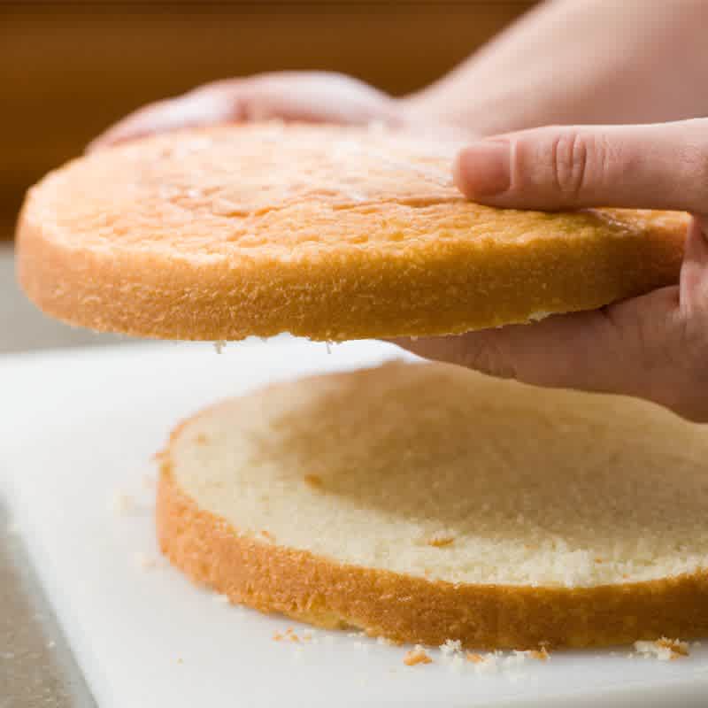 STP_CakeCutting - 4 of 4.jpg
