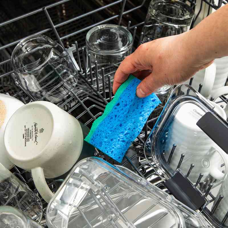 STP_How_to_Clean_a_Sponge_6017 copy.jpg