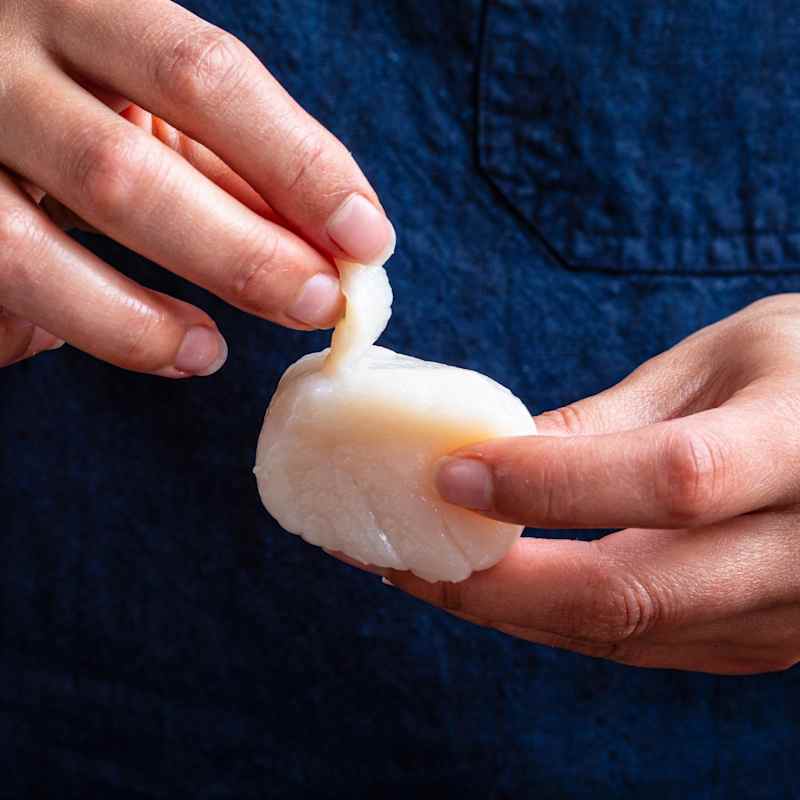 What to Do with the Tendon?