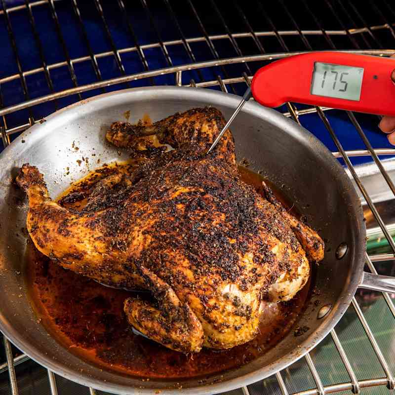 STP_Spice-Rubbed_Roast_Chicken_Temping_Thigh_8588 (2).jpg