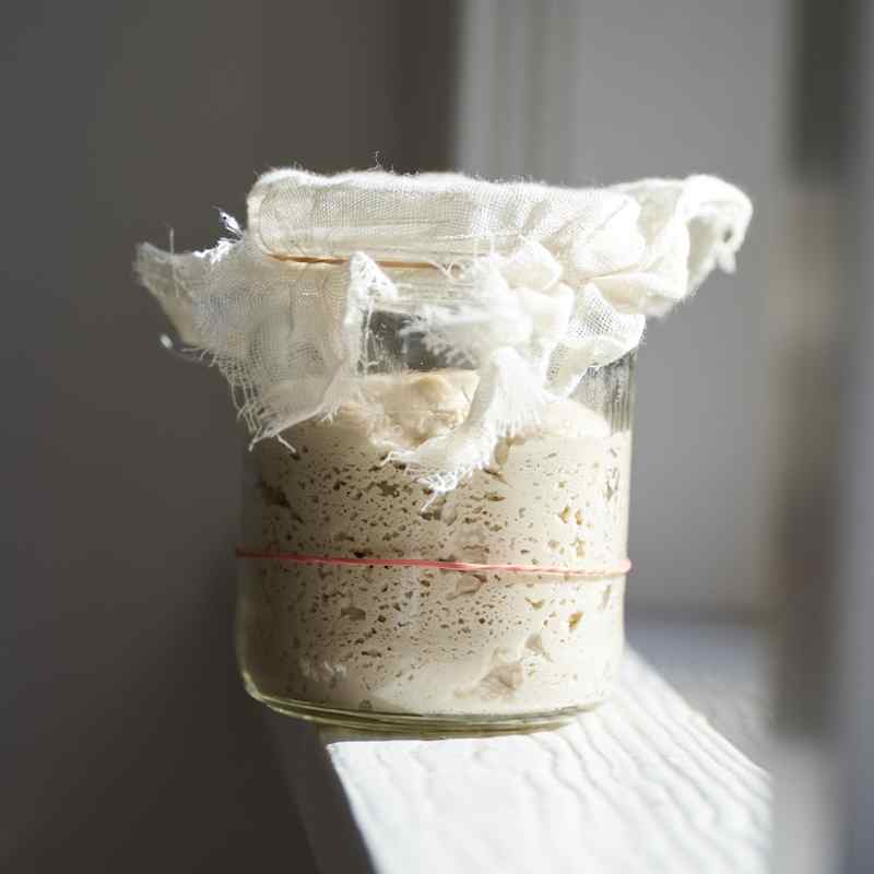 Whole-Grain Brown Rice-Teff Sourdough Starter