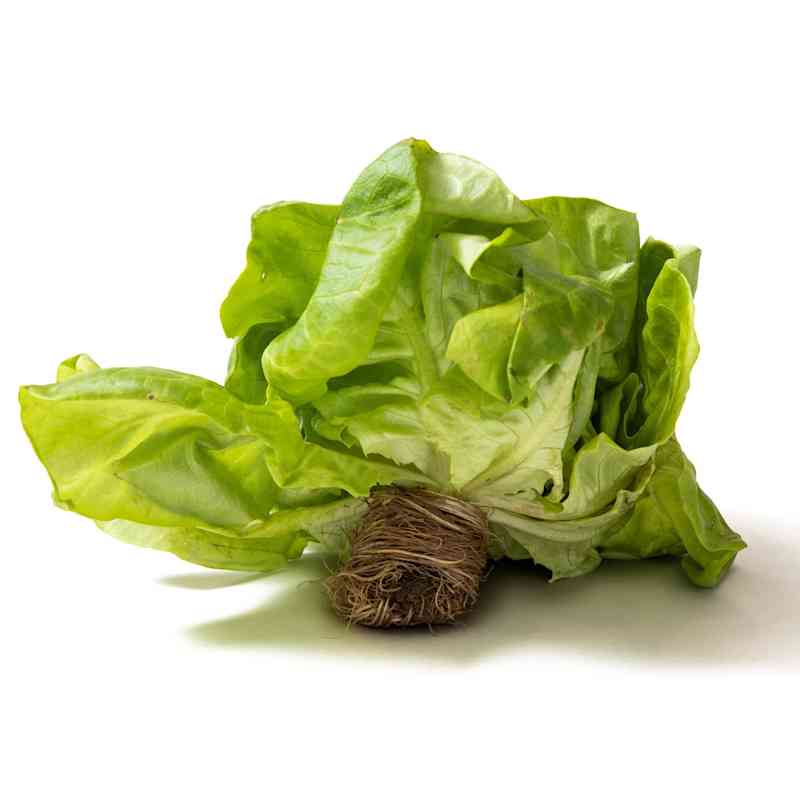 SizzlingBeefLettuceWraps_BibbLettuce_8685_20191212-171507.jpg