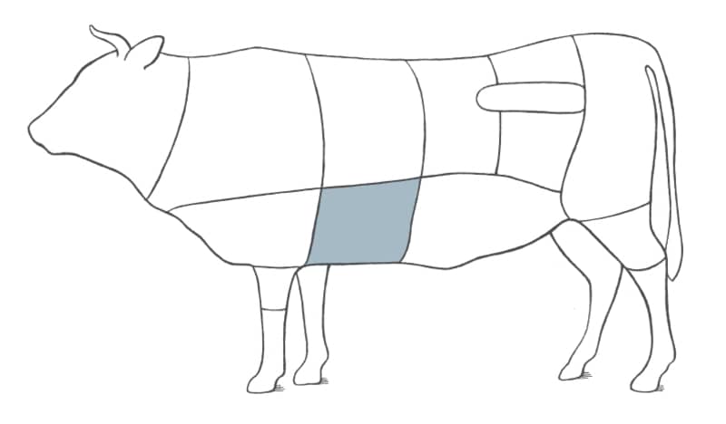 illustration of a cow with the skirt steak section highlighted