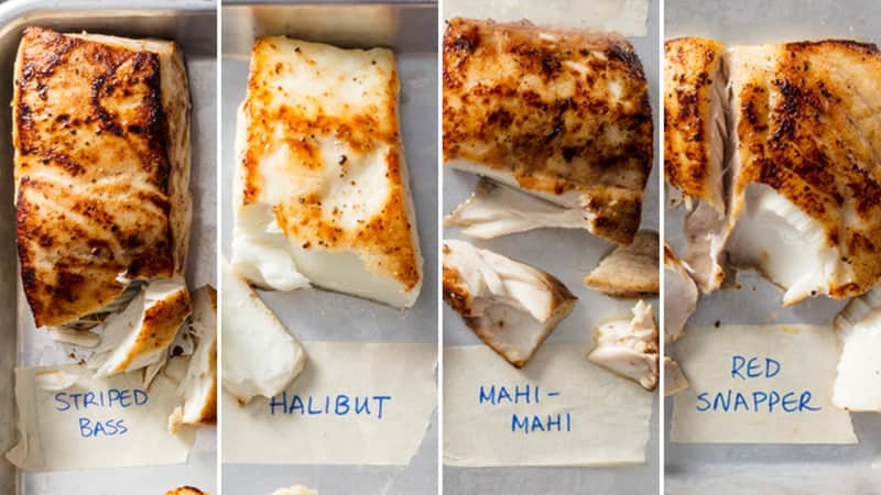 overhead photo of striped bass, halibut, mahi-mahi, and red snapper