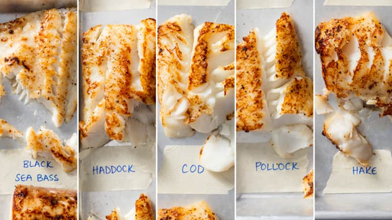 overhead photo of black bass, haddock, code, pollock, and hake