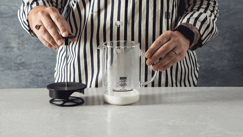 Trudeau Stainless Steel Battery Milk Frother – The Cook's Nook