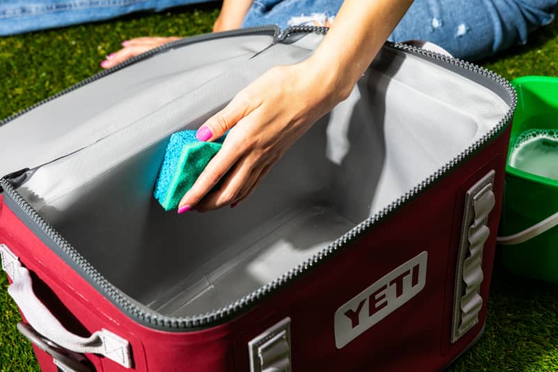 The 5 Best Soft Coolers of 2023, Tested & Reviewed