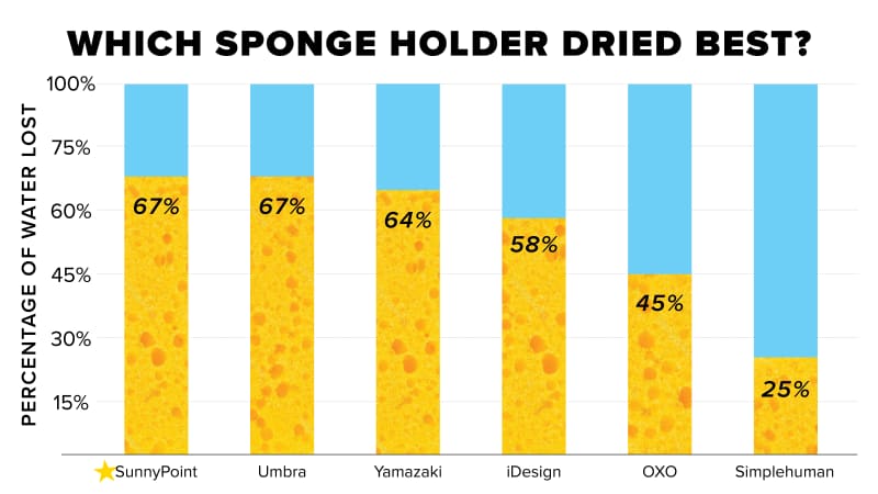 Best Sponge in 2022