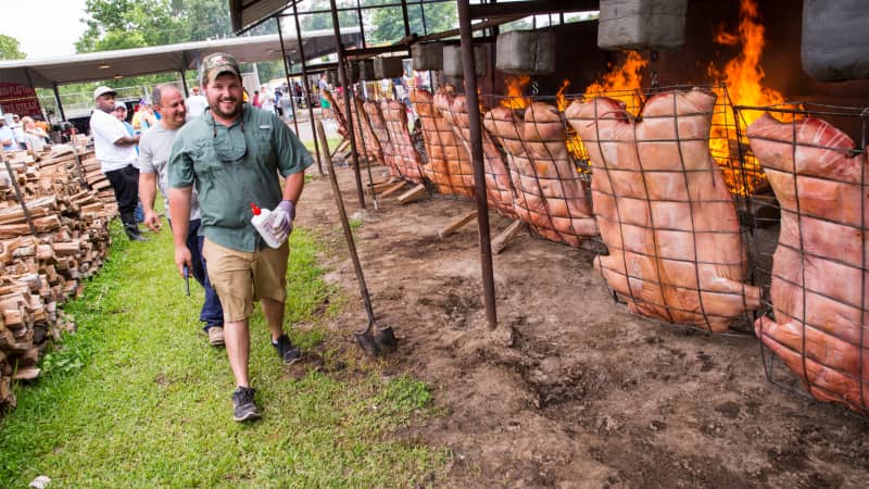 Butterflied hogs at the Cochon de Lait Festival