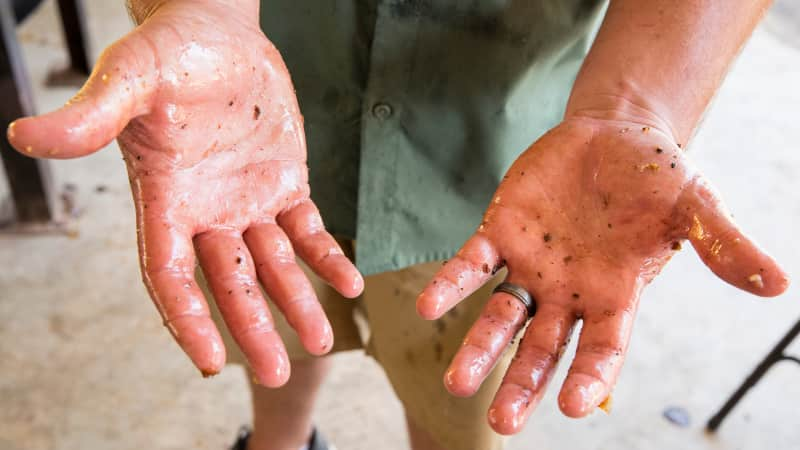 Greasy hands at the Cochon de Lait Festival