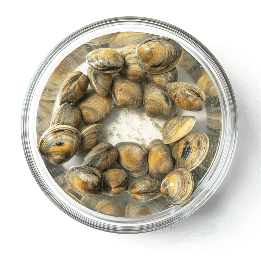 Chinese steamed eggs with clams - smelly lunchbox