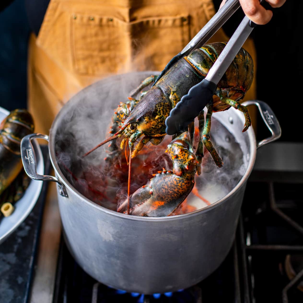 How to Cook Lobster  America's Test Kitchen