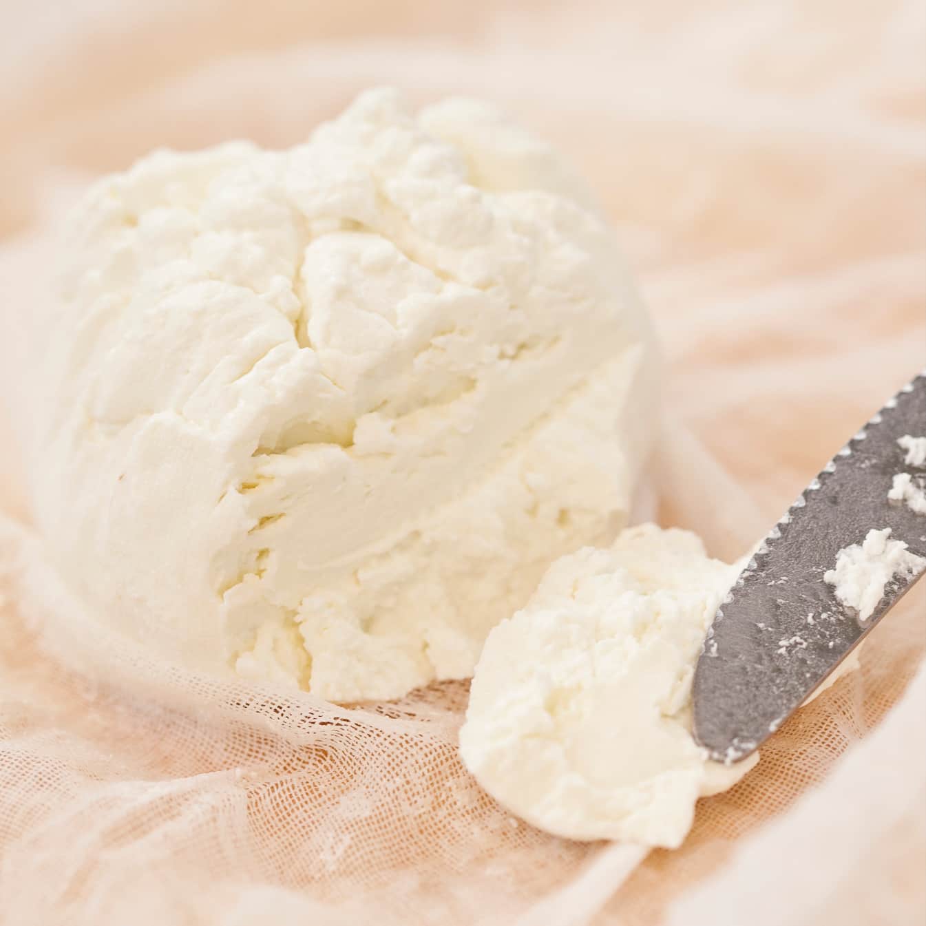 Fresh Goat Cheese | America's Test Kitchen